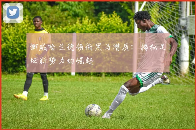 挪威哈兰德领衔黑马潜质:揭秘足坛新势力的崛起